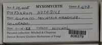 Image Associated With the Occurence